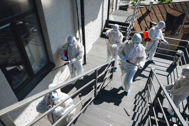 Best Attic Mold Removal  in Kaaawa, HI