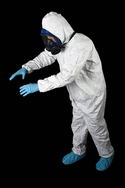 Professional Mold Removal in Kaaawa, HI